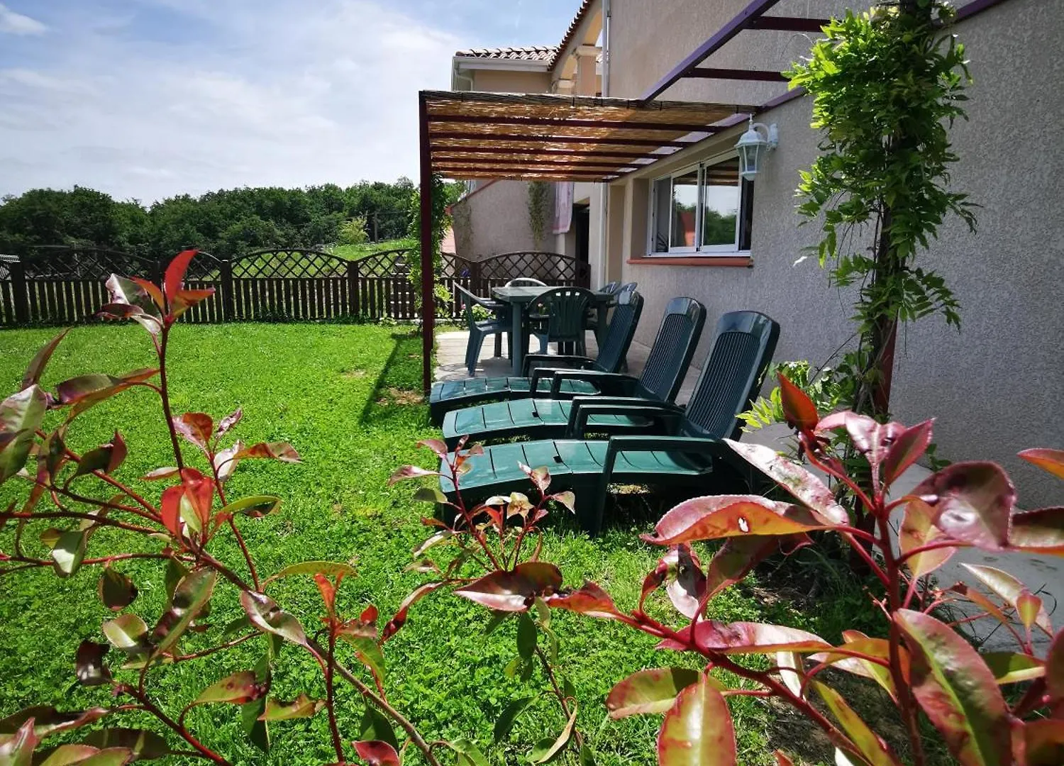 Puydaniel Rez De Jardin 아파트